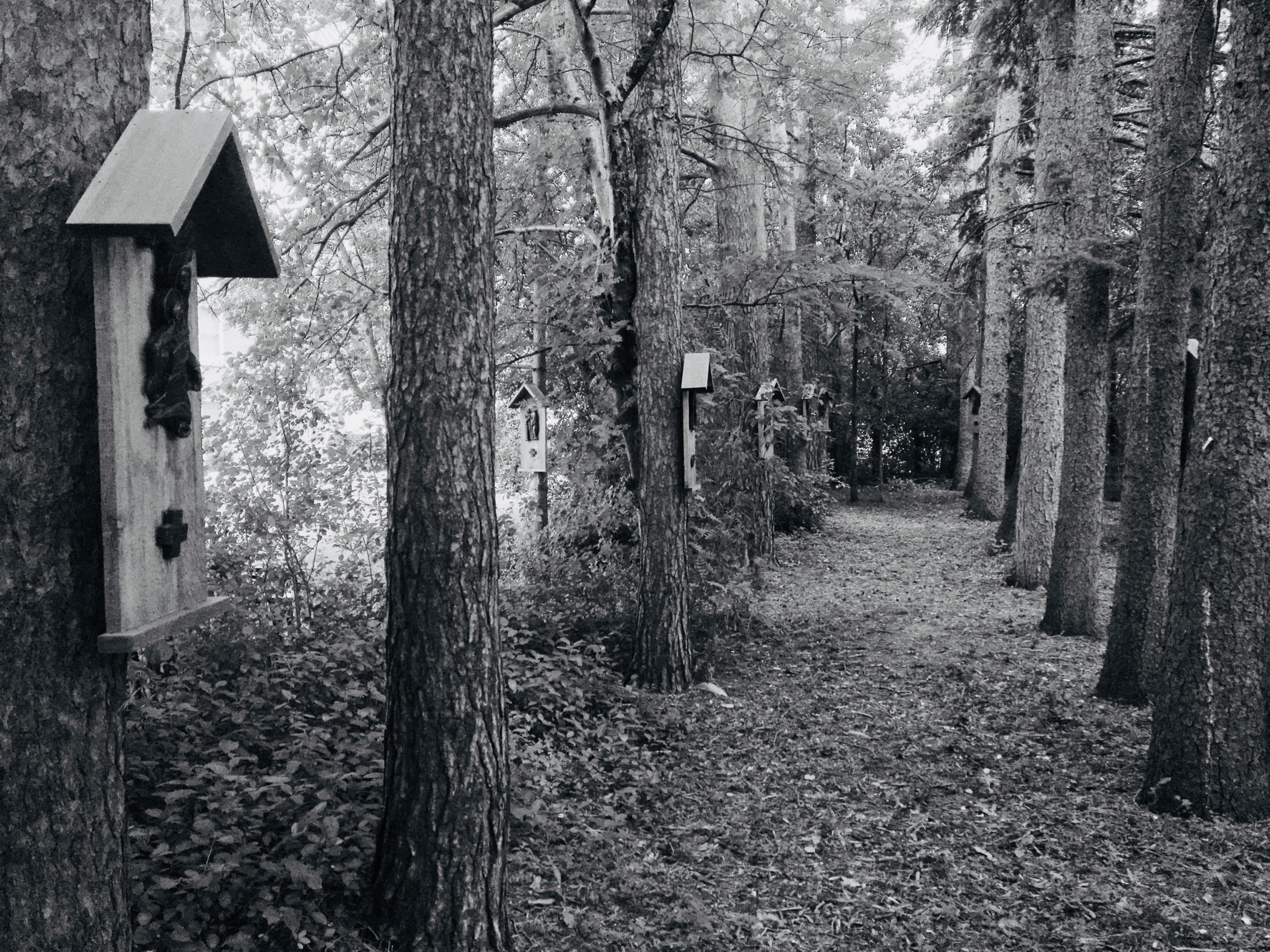 Silent Directed Retreat