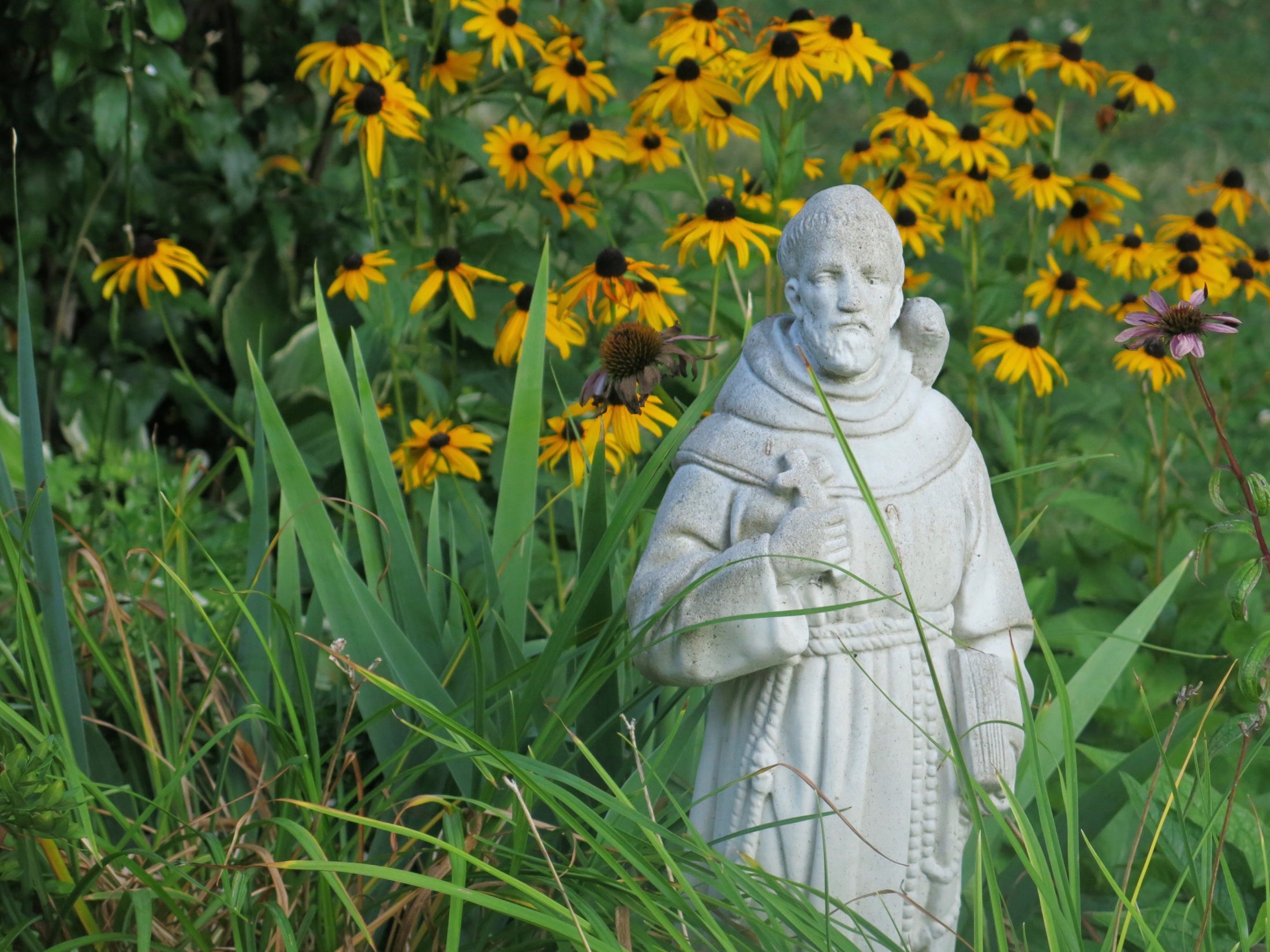 Quiet Garden Days