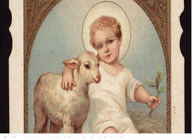 Reflections on the Good Shepherd.